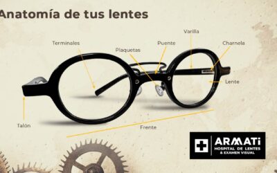 Clase de Anatomía de los lentes